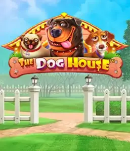 From Pragmatic Play comes The Dog House Slot, bringing you a fun-filled journey among lovable dogs. Enjoy features such as multipliers, aimed at delivering entertaining gameplay. Perfect for those who enjoy an amusing setting and the opportunity to win big.